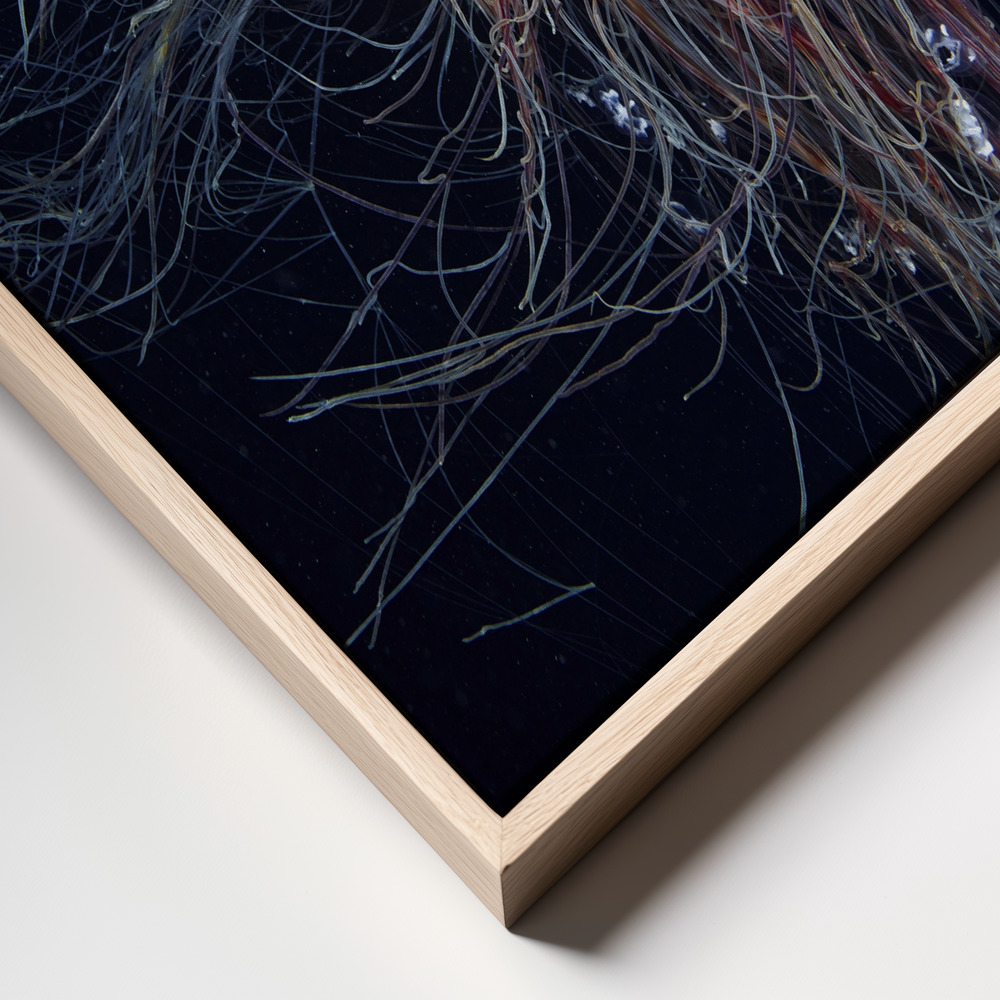 Canvas print - Giant Lion's Mane frame close up