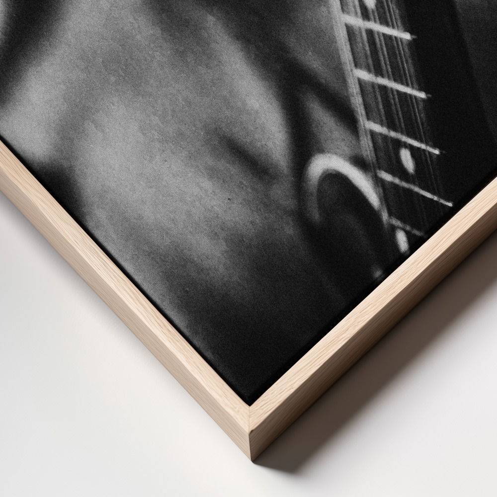 Canvas print - Wolf with mandolin and harmonica frame close up