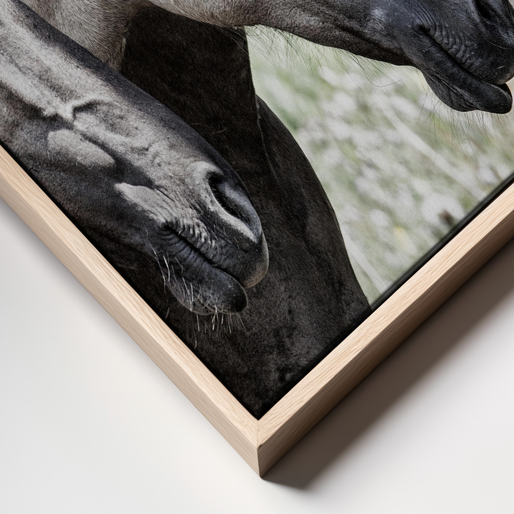 Canvas taulu - Four Konik Horses kehys lähikuva - luonnollinen kehys