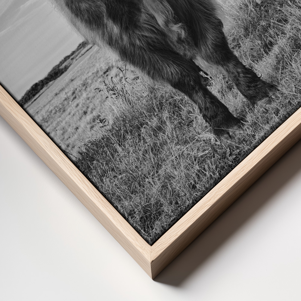 Canvas print - Highlands frame close up - natural frame