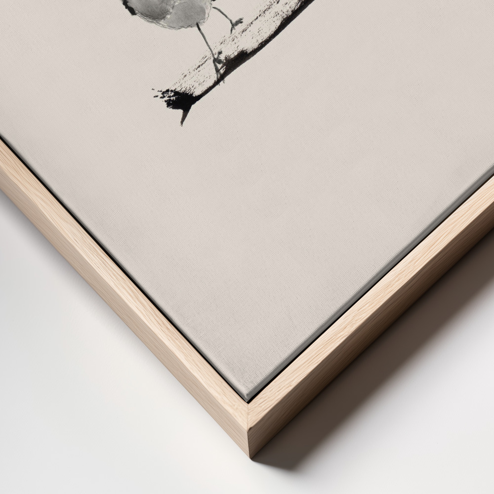 Leinwandbild - Robins   Three On a Branch 20x20 rahmen Nahaufnahme - natürlicher Rahmen