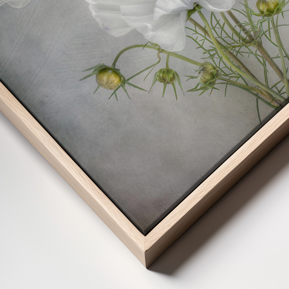 Canvas print - Cosmos Charm frame close up - natural frame