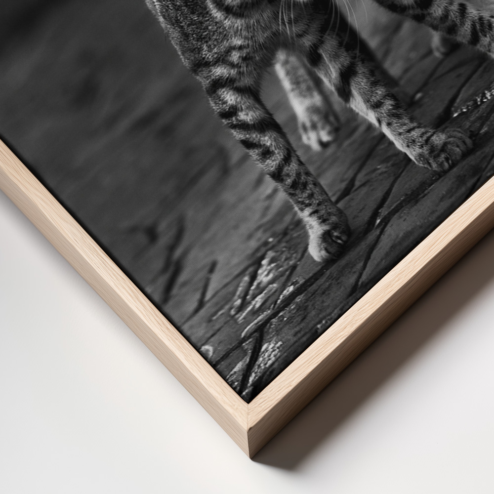 Canvas print - Untitled frame close up - natural frame