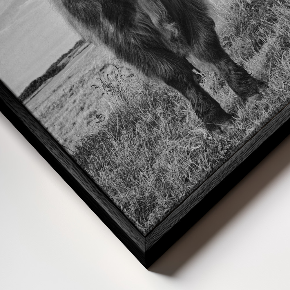 Canvas print - Highlands frame close up - black frame