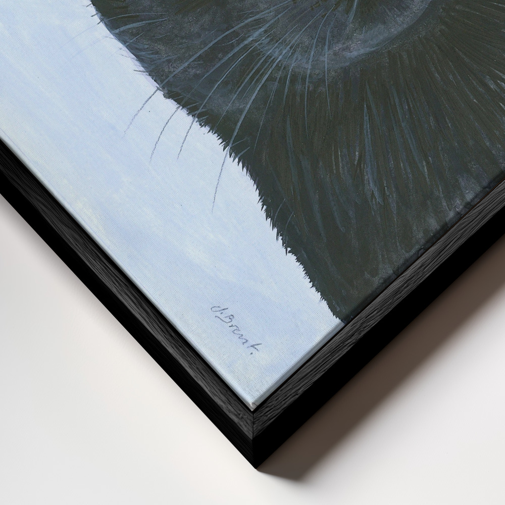Canvas print -   The Cat's Whisker frame close up - black frame
