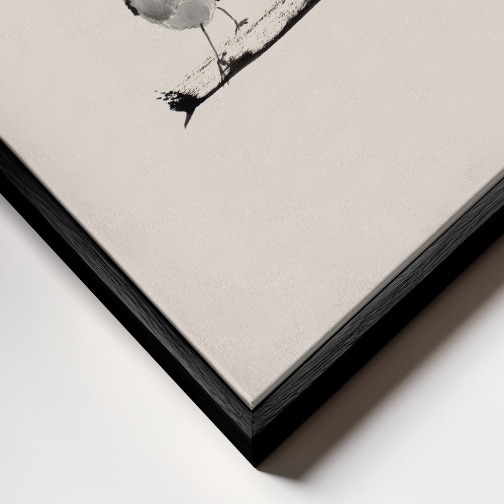 Leinwandbild - Robins   Three On a Branch 20x20 rahmen Nahaufnahme - schwarzer Rahmen