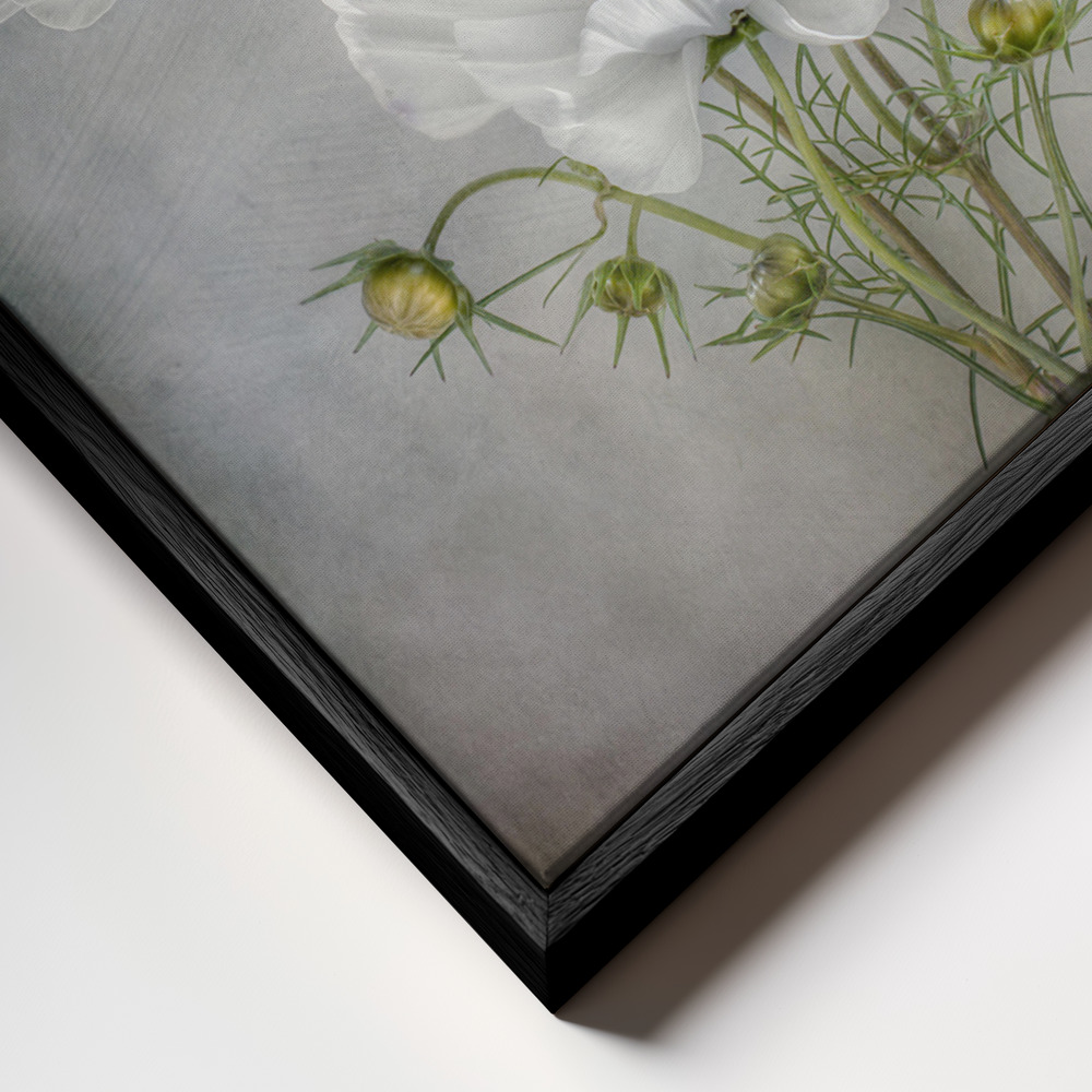 Canvas print - Cosmos Charm frame close up - black frame