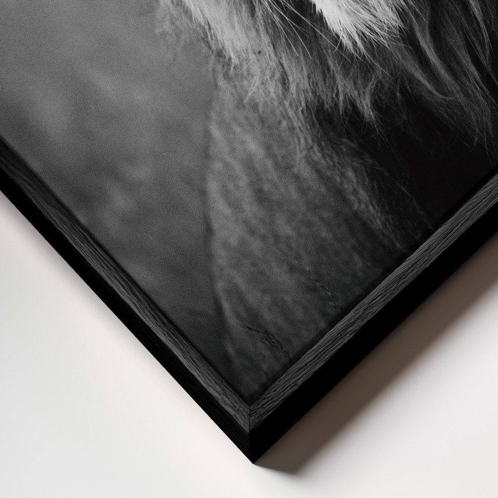 Canvas schilderi - Regal frame close-up - zwart frame
