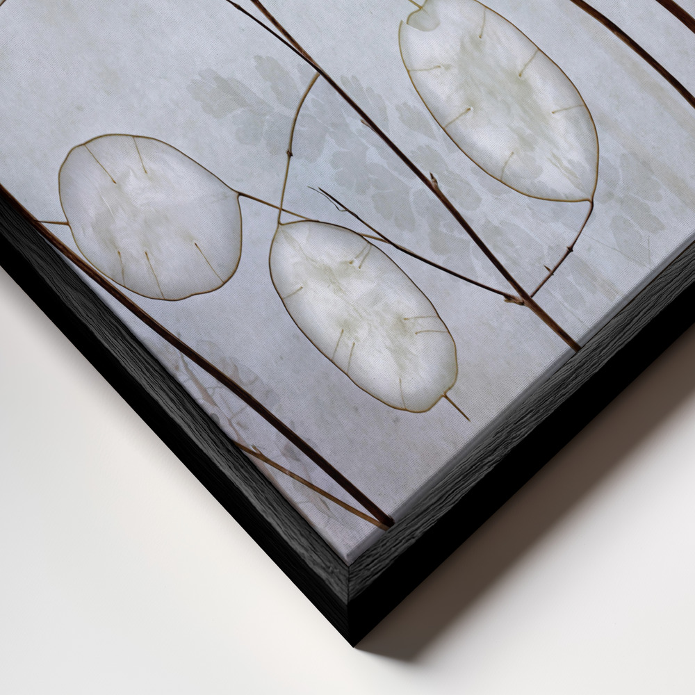 Toile - Lunaria cadre en gros plan - cadre noir