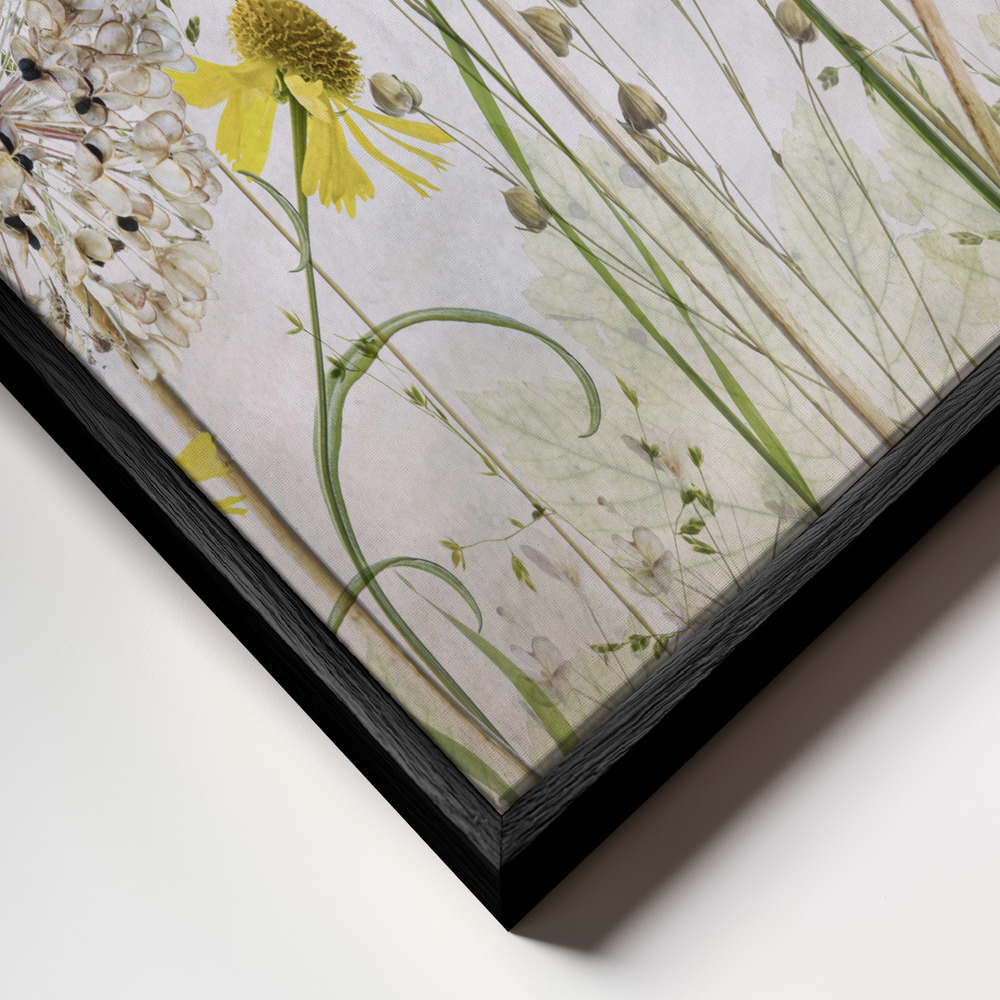Toile - Alliums and heleniums cadre en gros plan - cadre noir