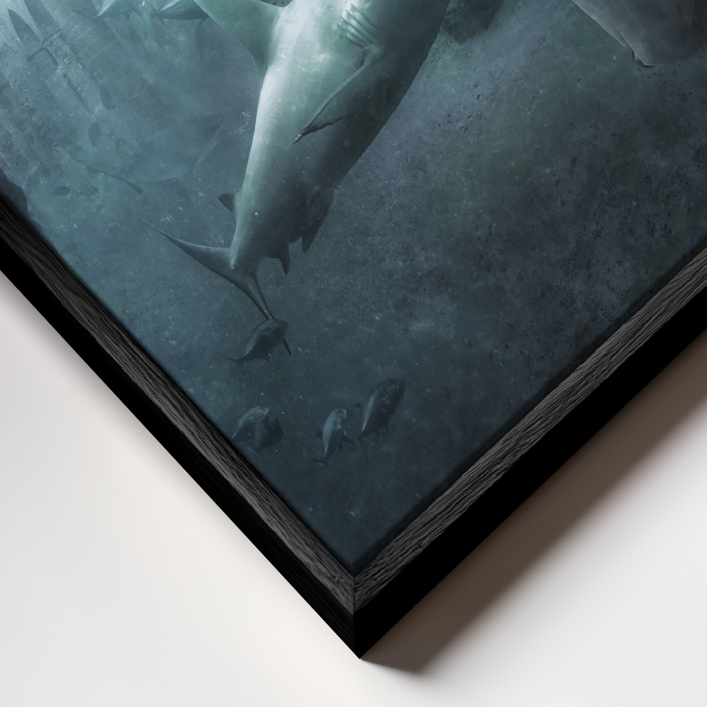 Canvas schilderi - The Sea Shepherd frame close-up - zwart frame