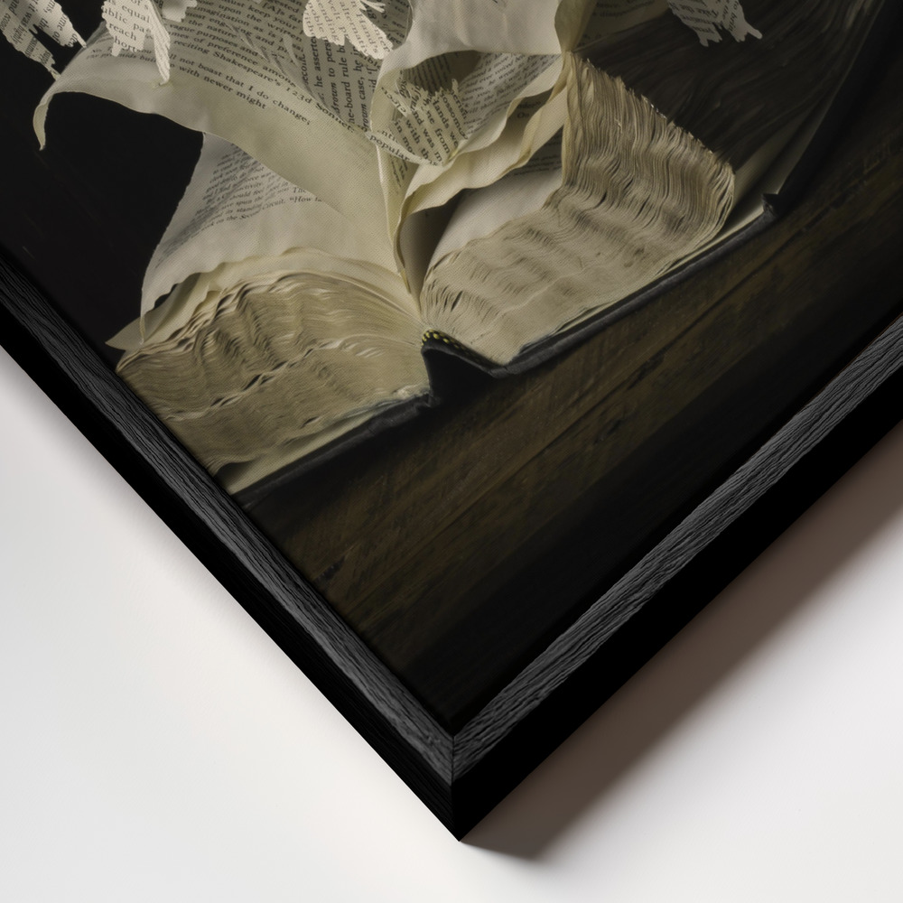 Toile - Lepidopterology cadre en gros plan - cadre noir