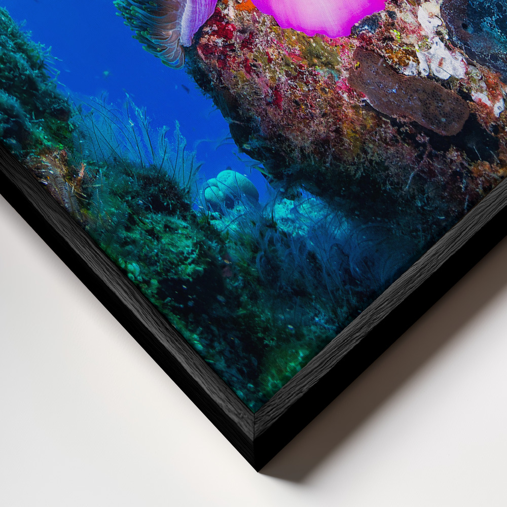 Toile - Sea life cadre en gros plan - cadre noir