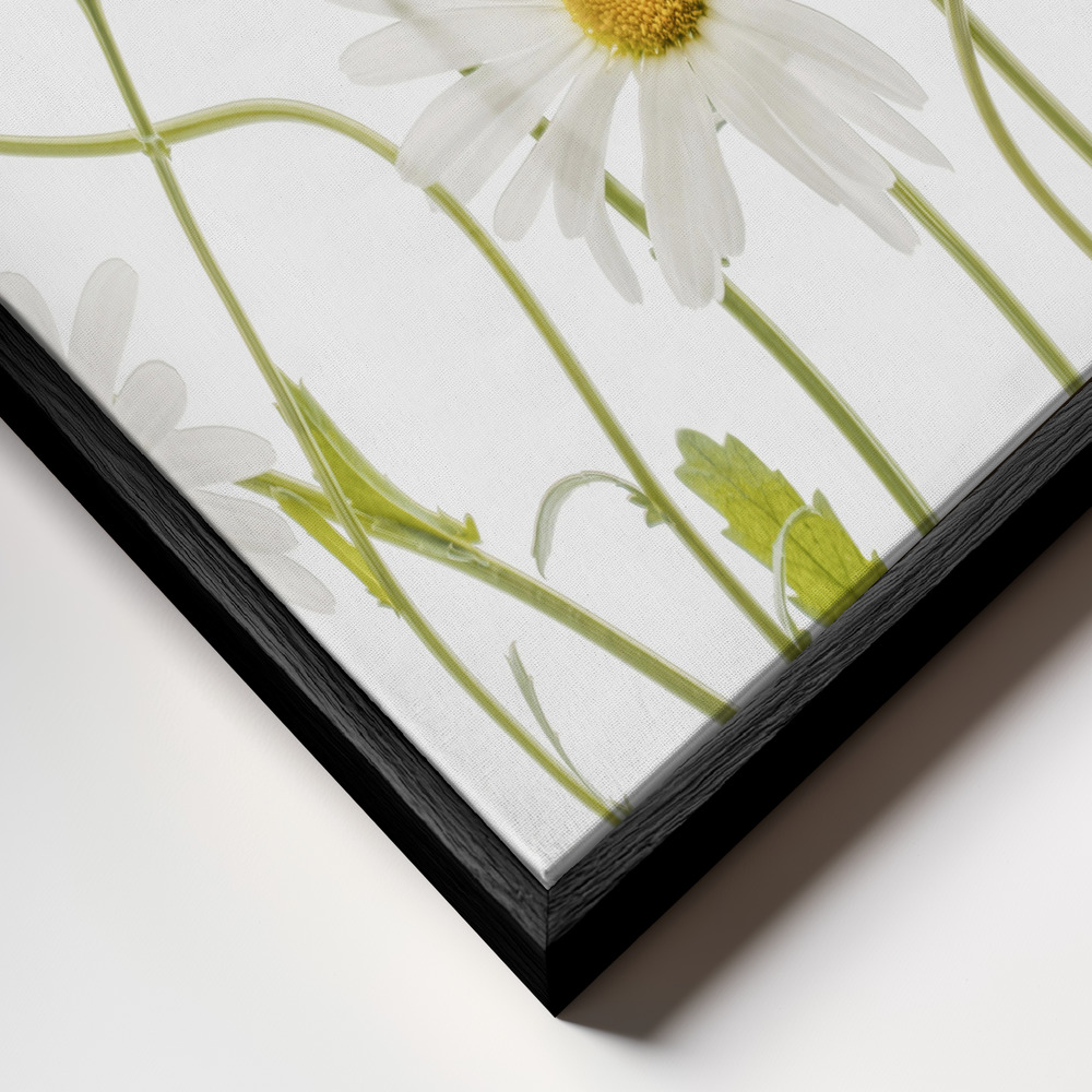 Canvas schilderi - Ox eye Daisies frame close-up - zwart frame