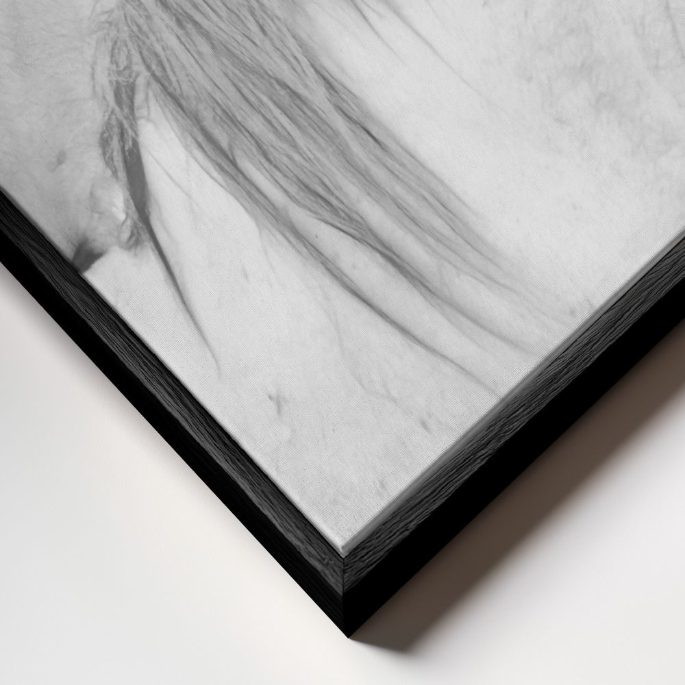 Canvas taulu - Horses kehys lähikuvassa - musta kehys