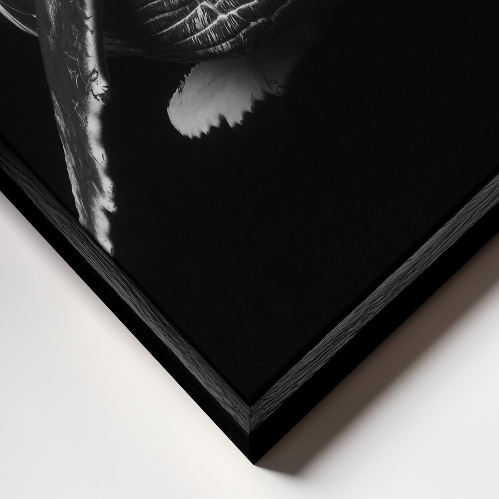 Canvas print - Humpback Whale calf frame close up - black frame