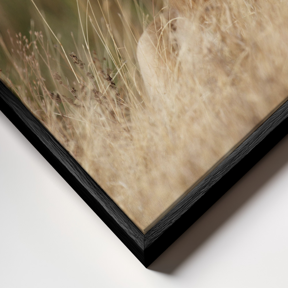 Canvas schilderi - Handsome! frame close-up - zwart frame