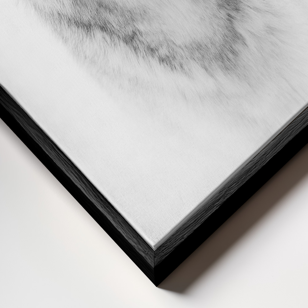 Leinwandbild - Portrait of a Timber Wolf rahmen Nahaufnahme - schwarzer Rahmen