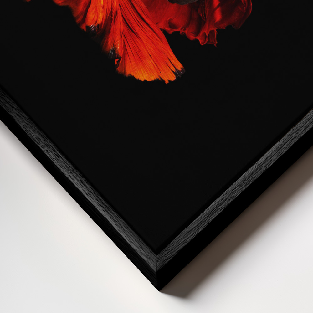 Canvas taulu - The Red kehys lähikuvassa - musta kehys