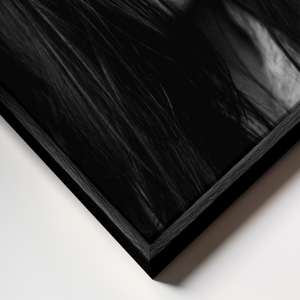 Canvas schilderi - Romi frame close-up - zwart frame