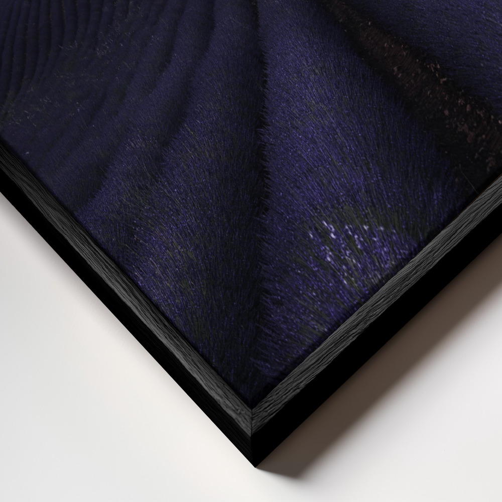 Toile - My lavander cadre en gros plan - cadre noir