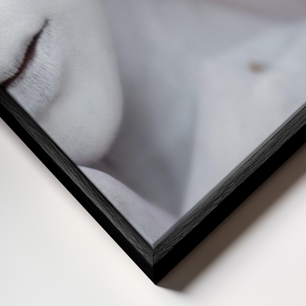 Toile - Independence day indonesia cadre en gros plan - cadre noir