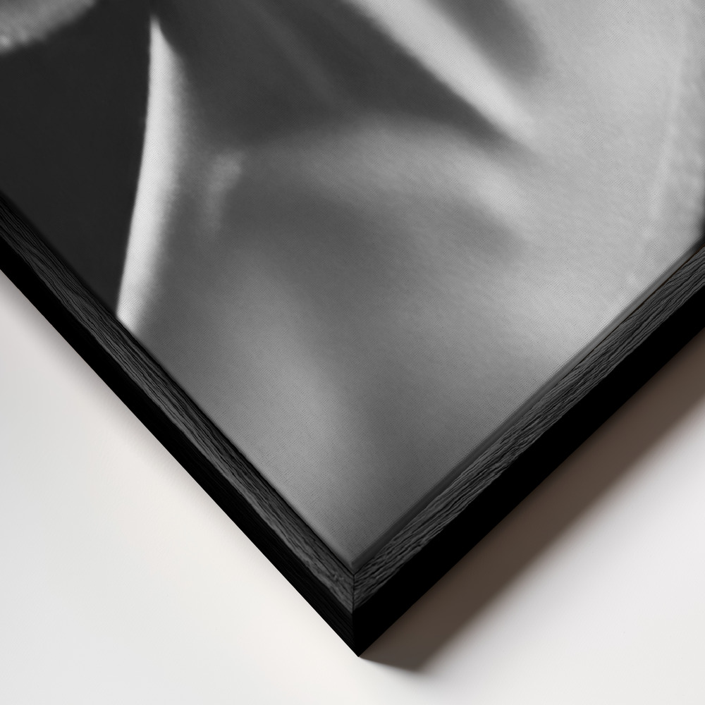 Canvas schilderi - Black & white stripes frame close-up - zwart frame