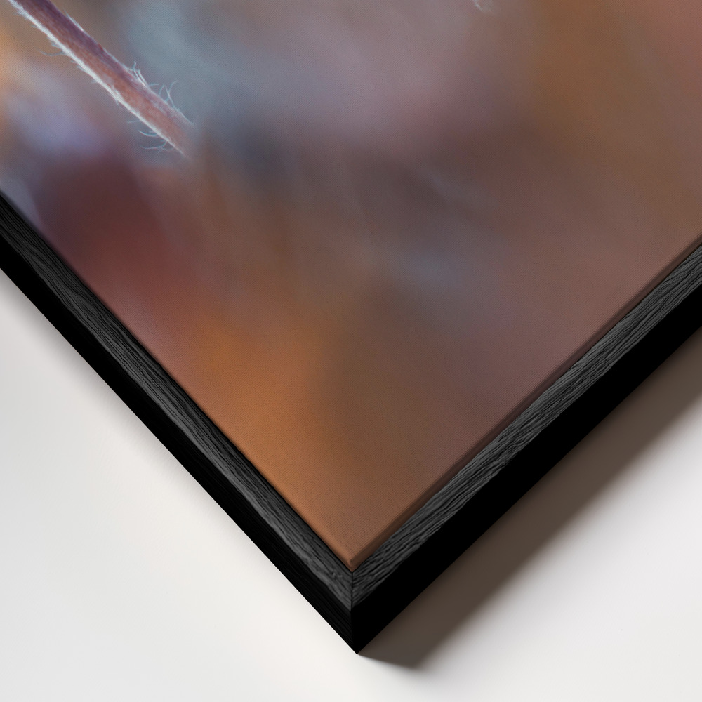 Canvas schilderi - Lady Daisy frame close-up - zwart frame