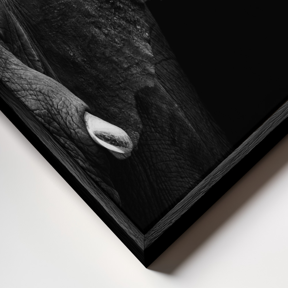 Lærred - Elephant ramme nærbillede - sort ramme