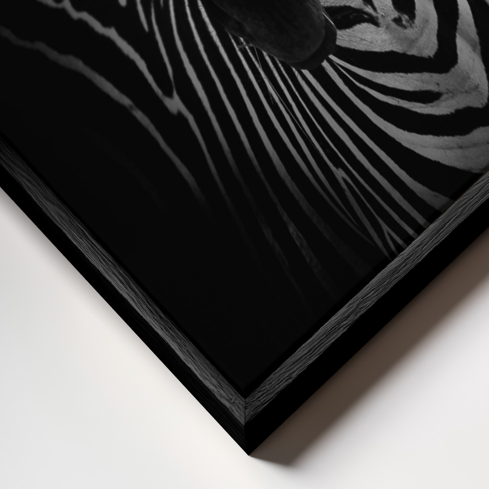 Canvas schilderi - The Zebra frame close-up - zwart frame