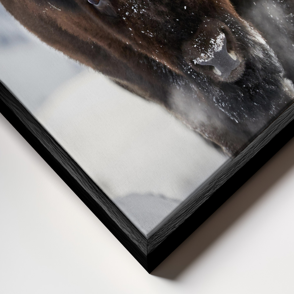Canvas taulu - Bison Incoming kehys lähikuvassa - musta kehys
