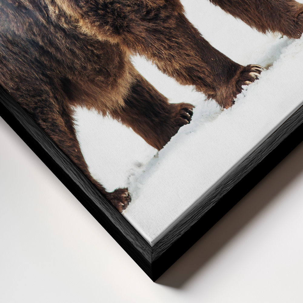 Canvas schilderi - Bear frame close-up - zwart frame