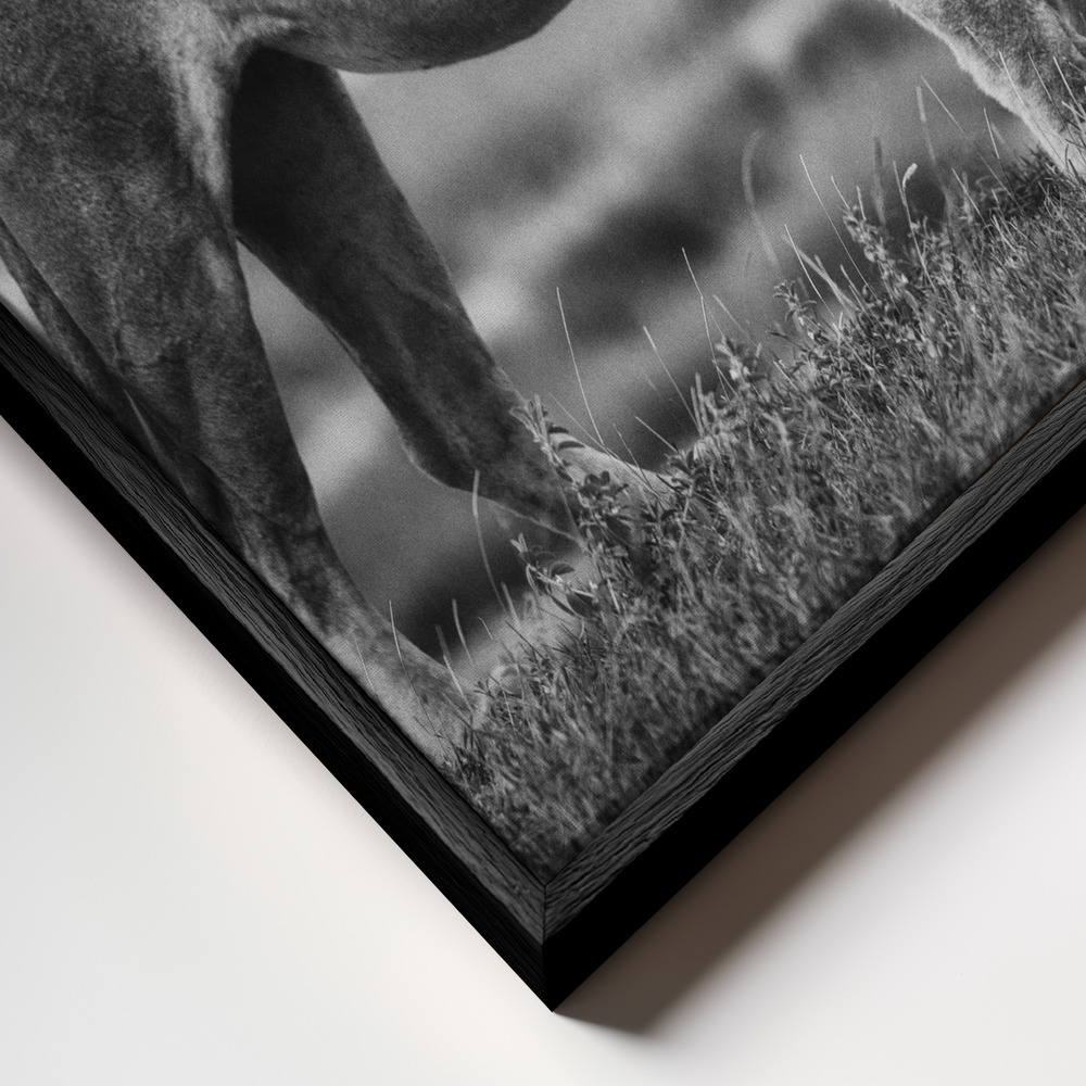 Canvas schilderi - Royal Pose frame close-up - zwart frame