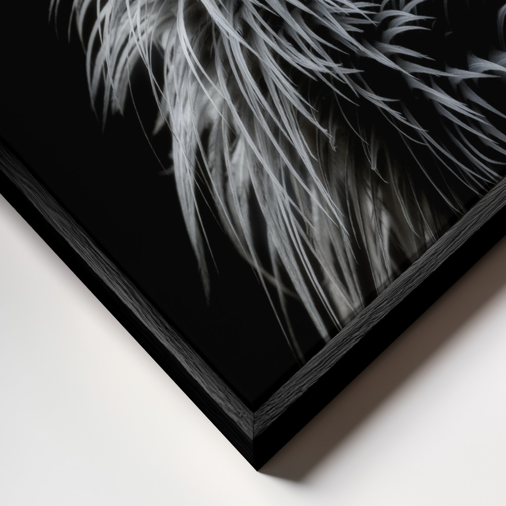 Toile - Crowned crane's portrait cadre en gros plan - cadre noir