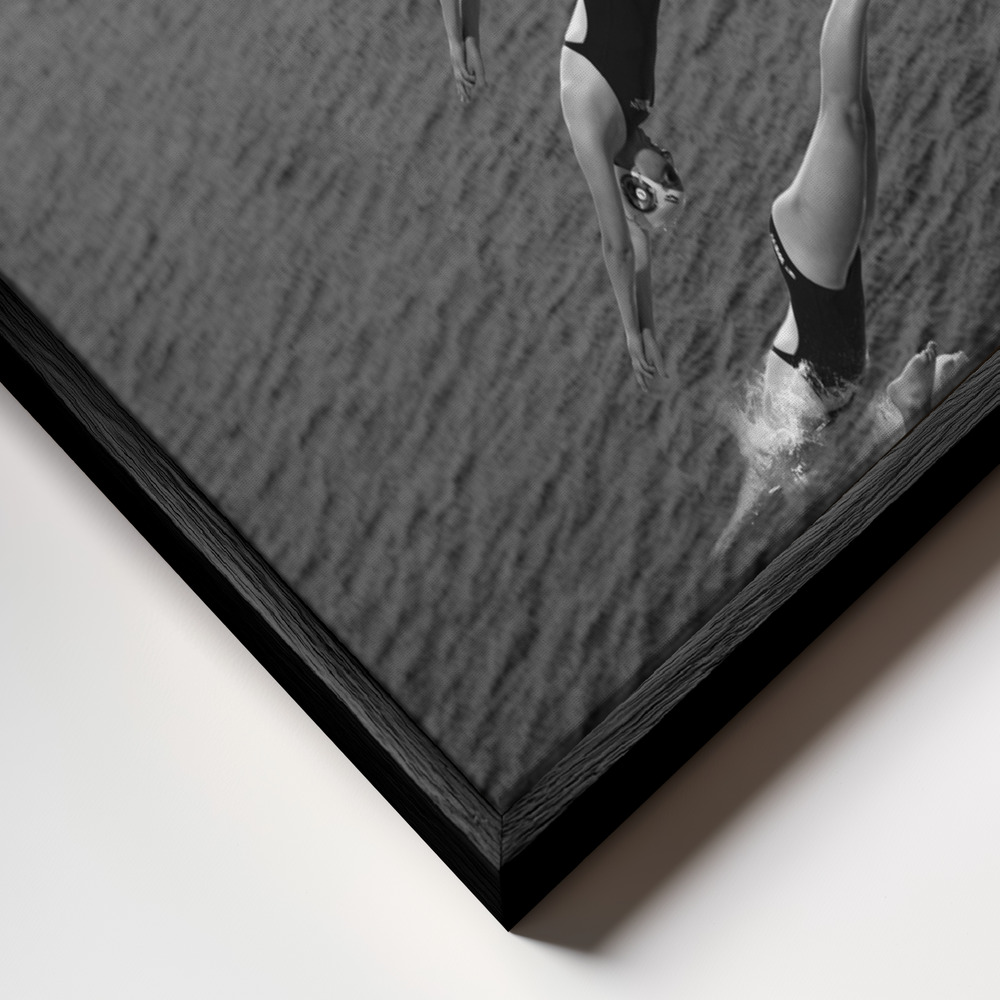 Toile - The beauty of diving cadre en gros plan - cadre noir