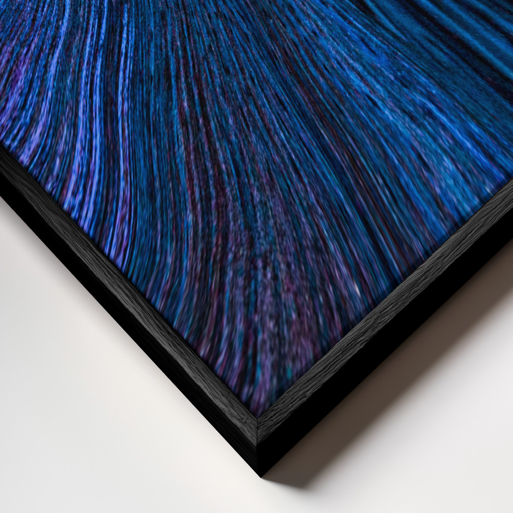 Canvas taulu - Blue Moon kehys lähikuvassa - musta kehys