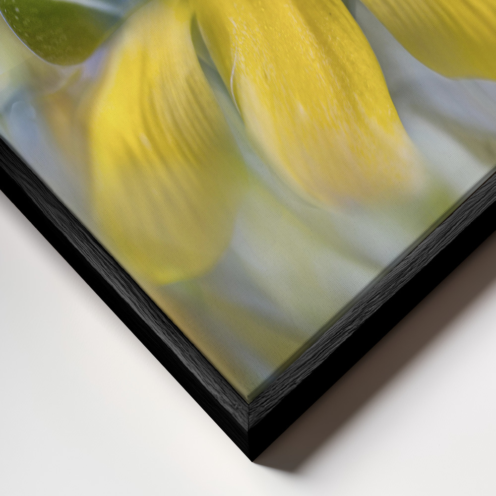 Canvas taulu - Hypericum kehys lähikuvassa - musta kehys