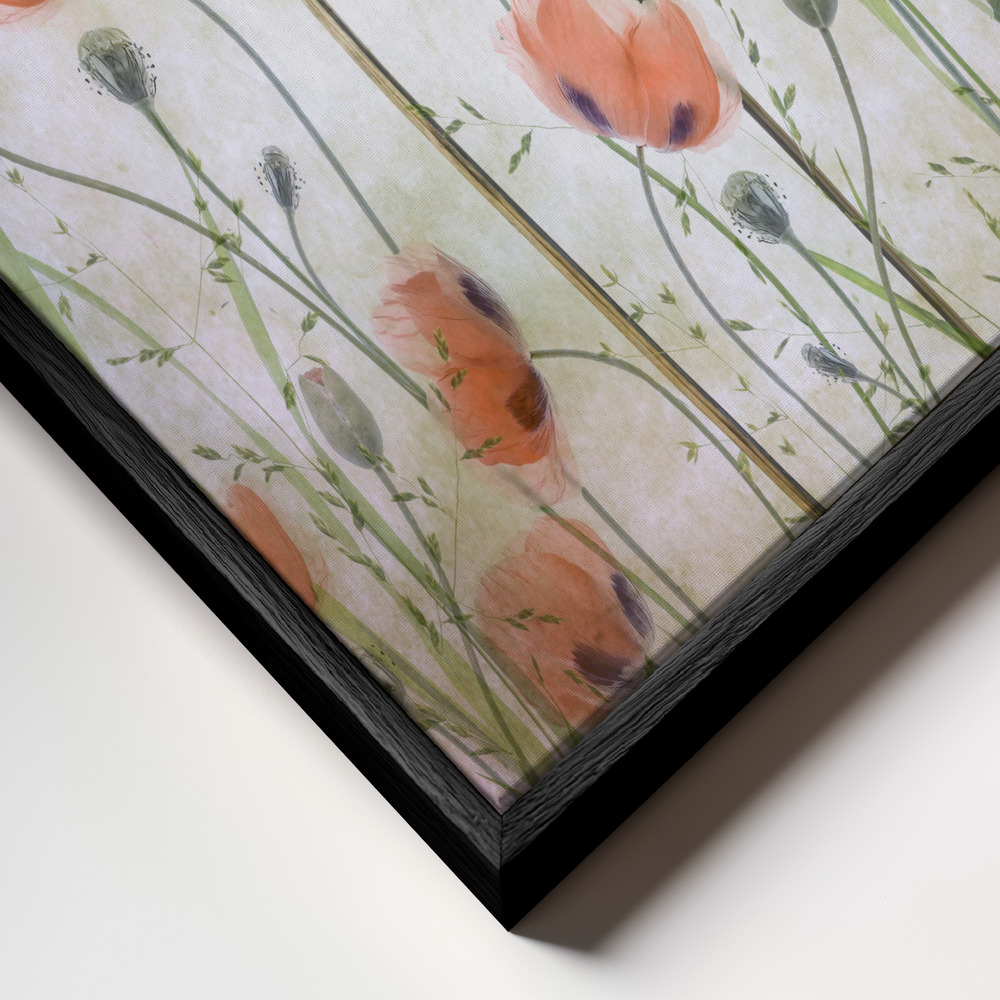Toile - Poppy Meadow cadre en gros plan - cadre noir