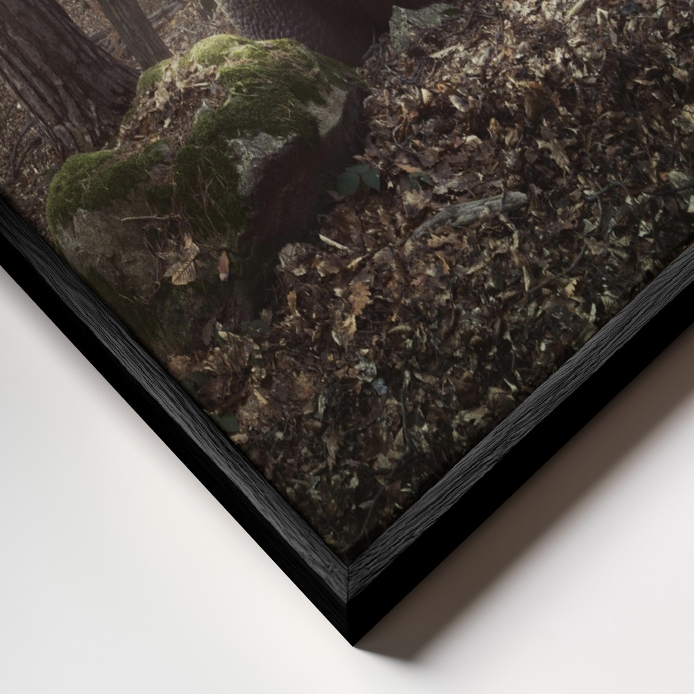 Canvas schilderi - Lost frame close-up - zwart frame