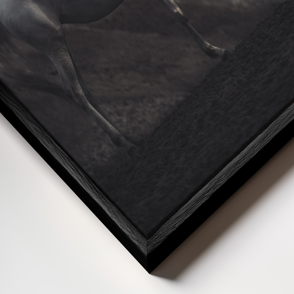 Canvas schilderi - SOLITAIRE frame close-up - zwart frame