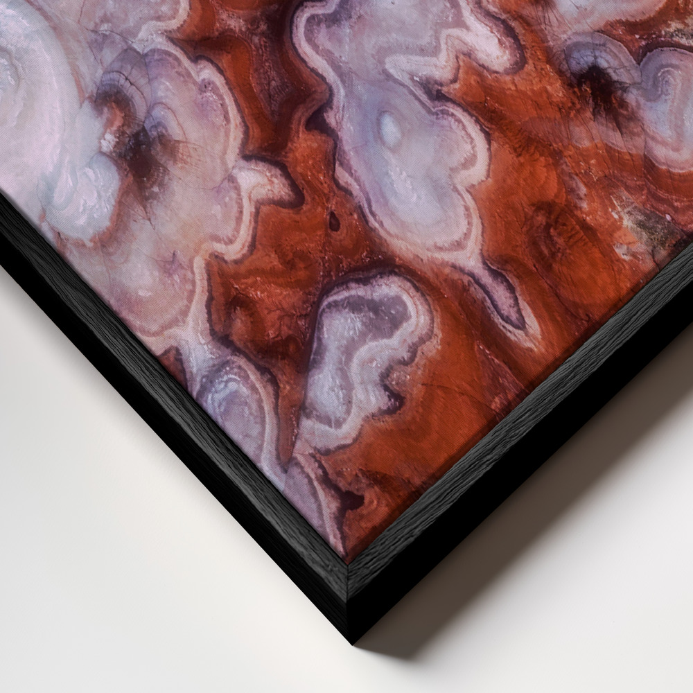 Canvas print - A Tree in the Desert frame close up - black frame