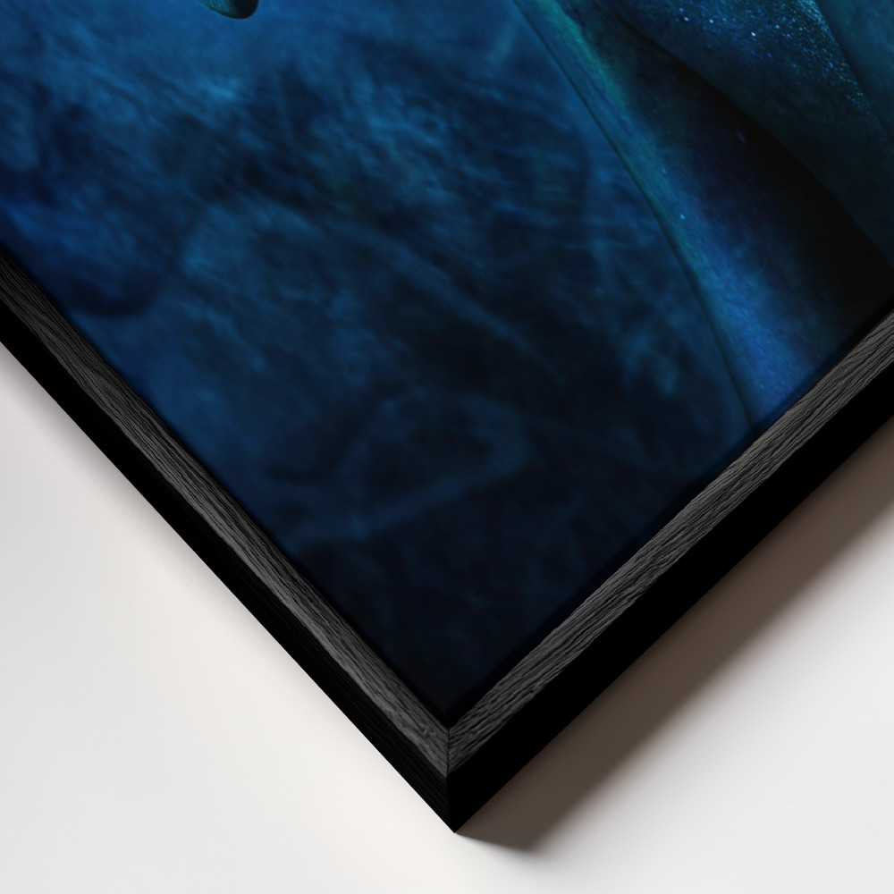 Canvas print - Symbiosis III frame close up - black frame