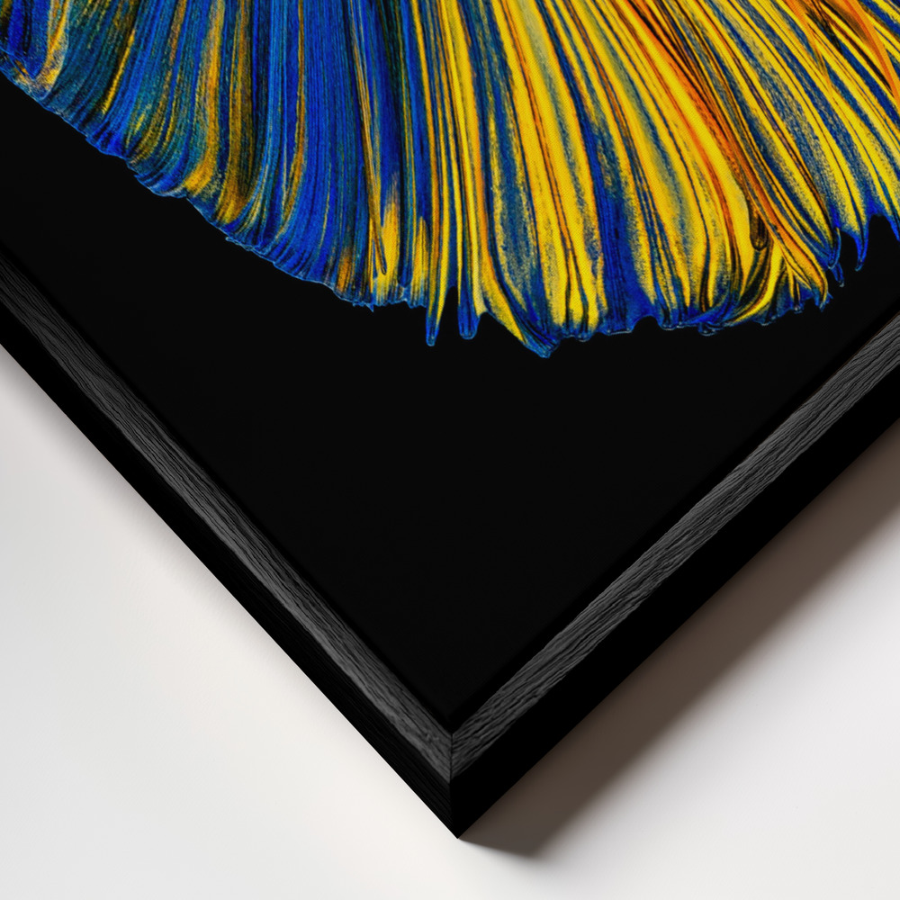 Canvas taulu - Yellow & Blue kehys lähikuvassa - musta kehys