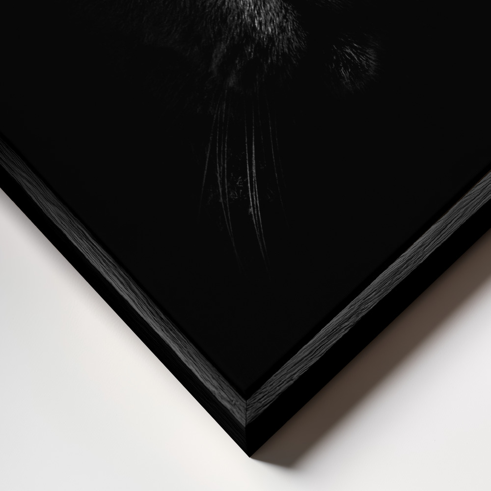 Canvas print - Midnight Gaze frame close up - black frame