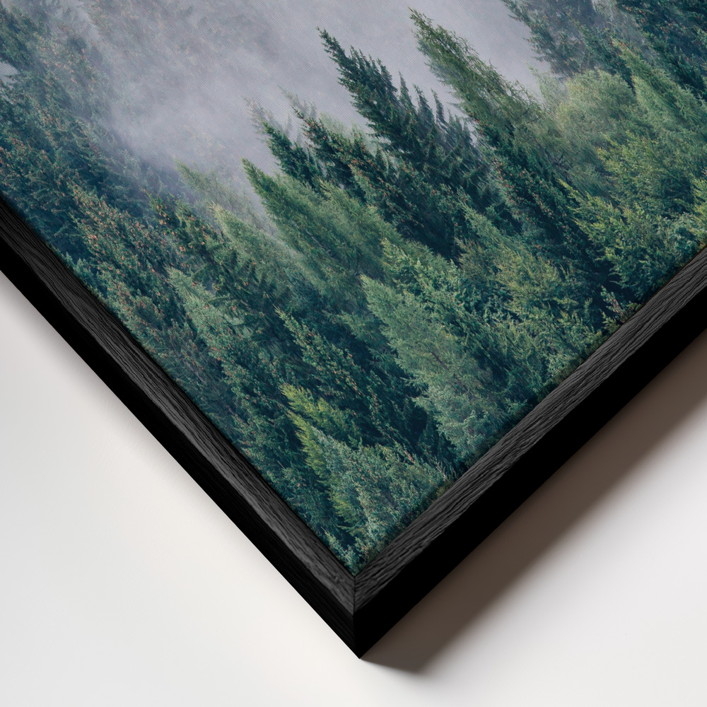 Toile - Petrichor cadre en gros plan - cadre noir