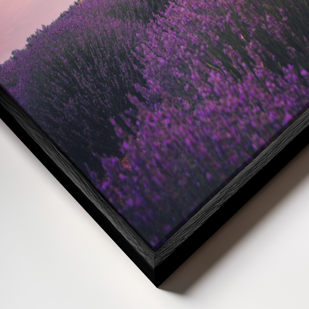 Canvas print - Lavender Fields, Isparta frame close up - black frame