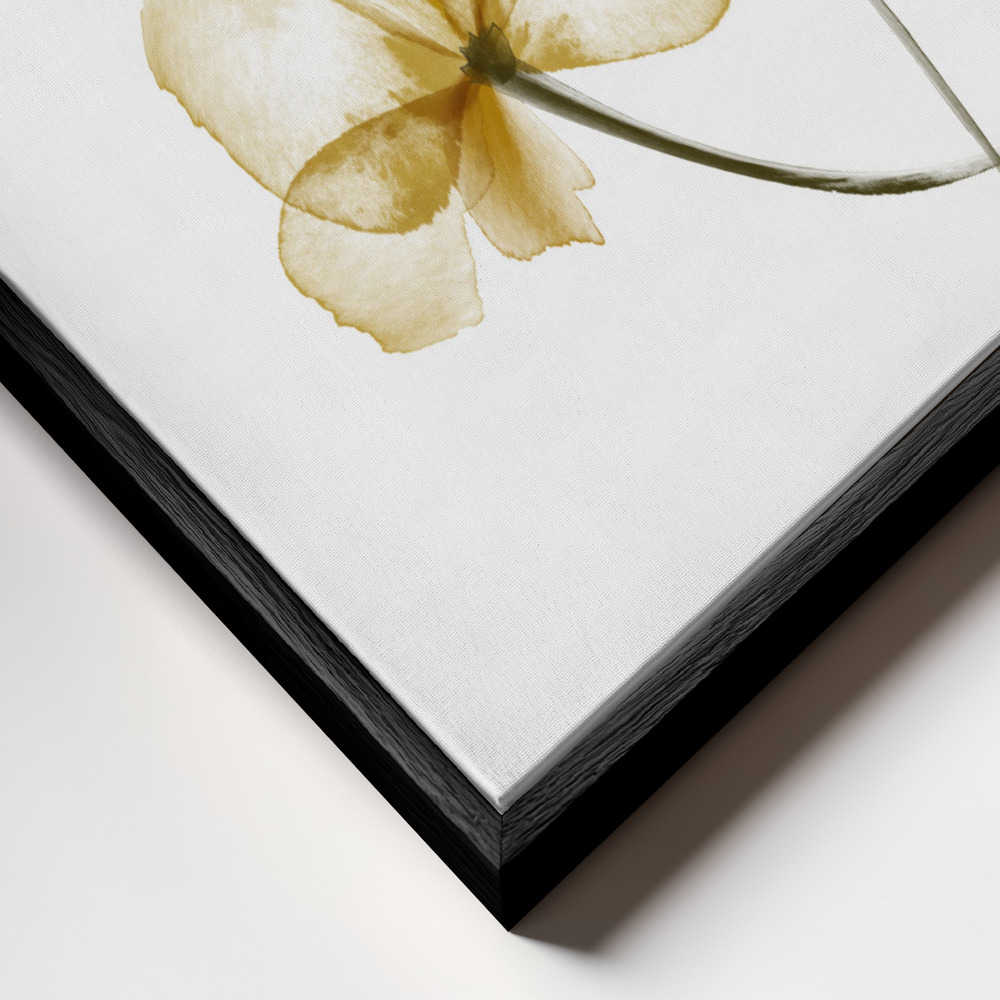 Obraz na płótnie - Pressed Flowers zbliżenie ramki - czarna ramka