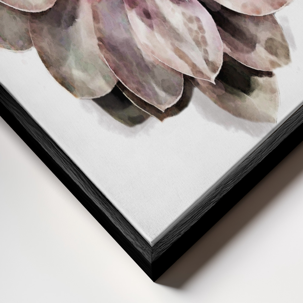 Canvas print - Succulent 01 frame close up - black frame