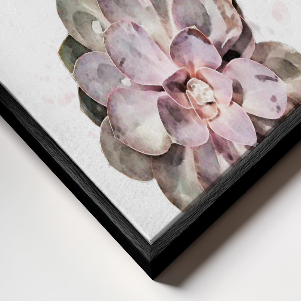 Canvas print - Succulent 02 frame close up - black frame