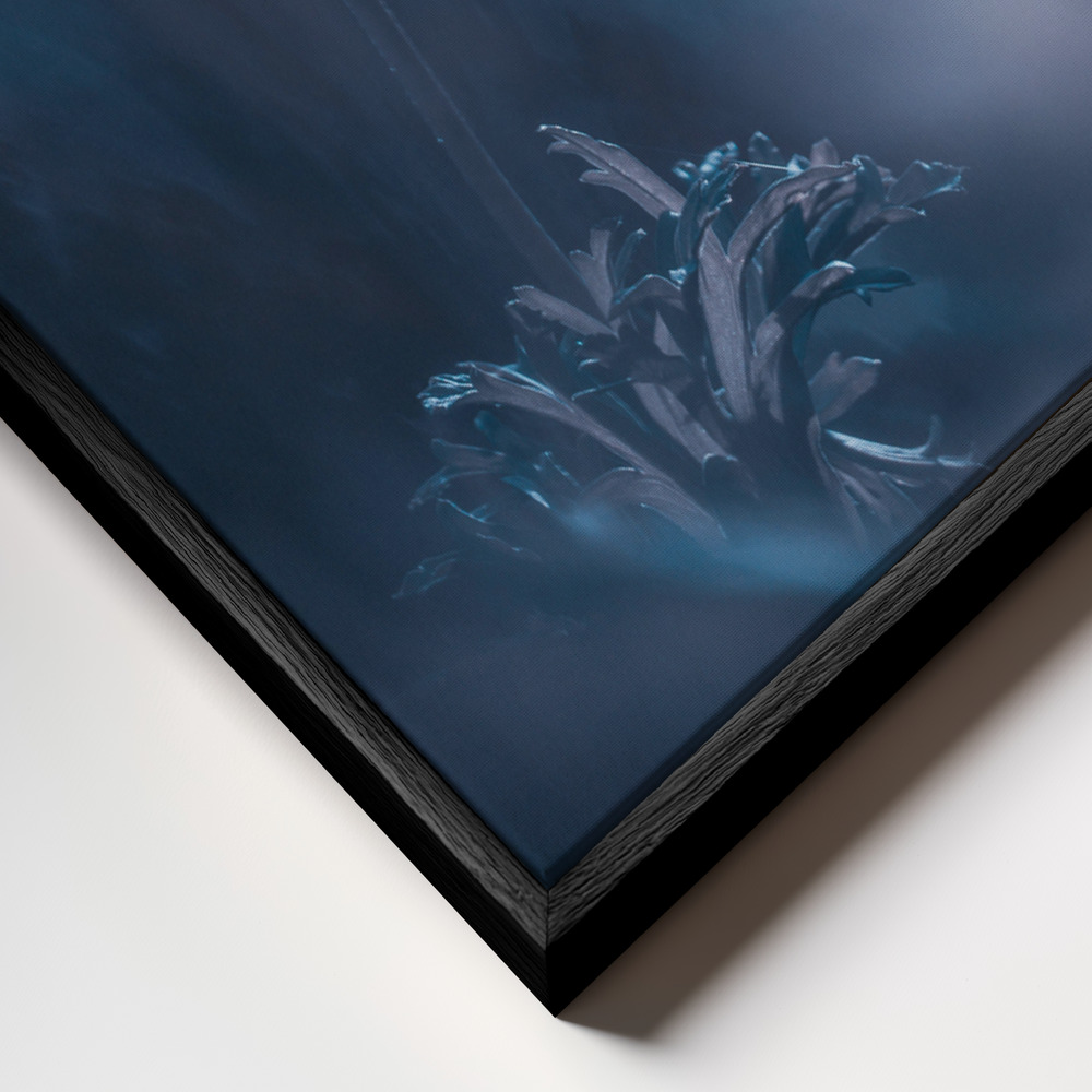 Canvas schilderi - Dream on frame close-up - zwart frame